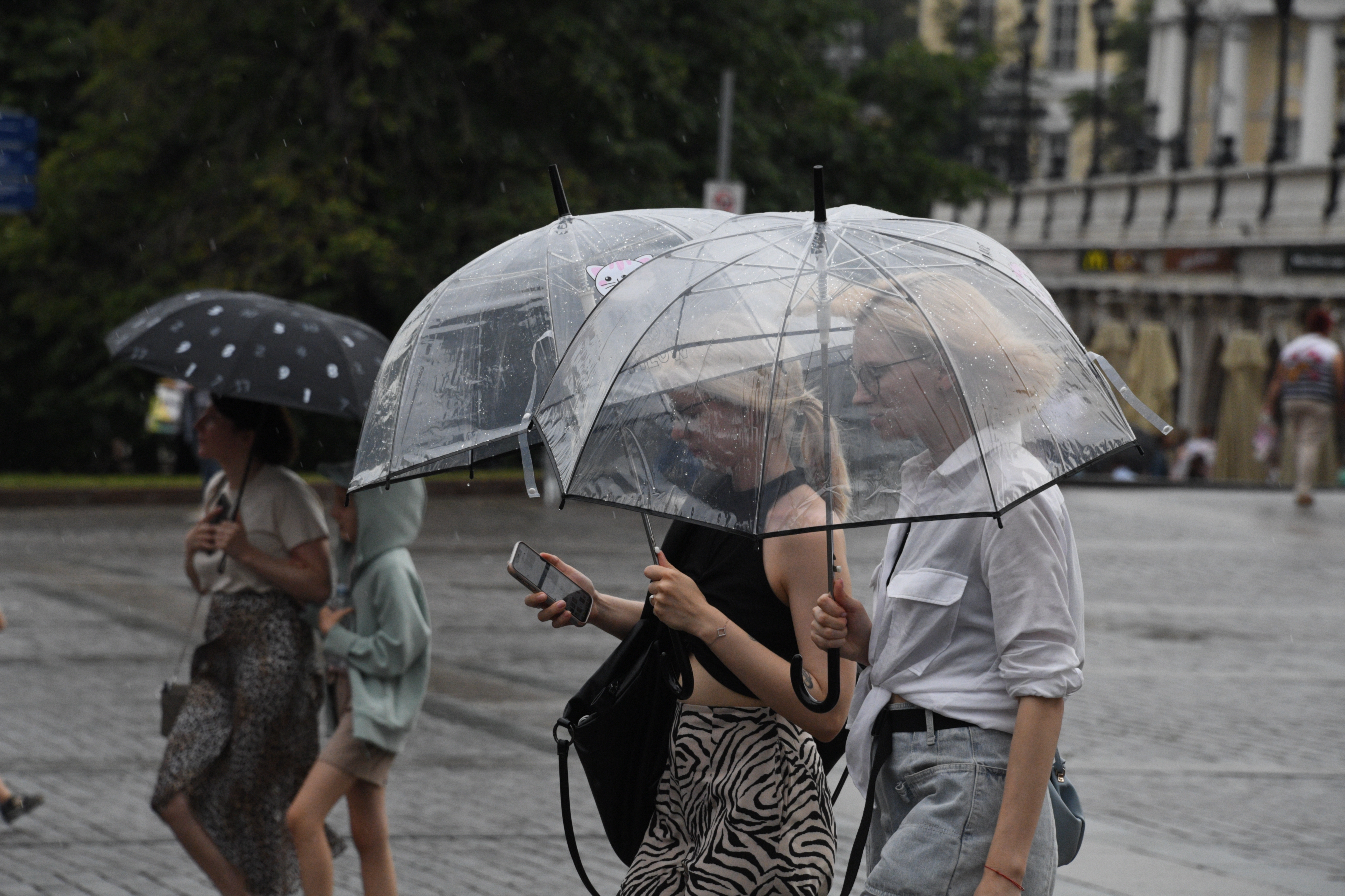 Погода в Уфе (Россия) в августе года, отзывы туристов и прогноз погоды на основе статистики